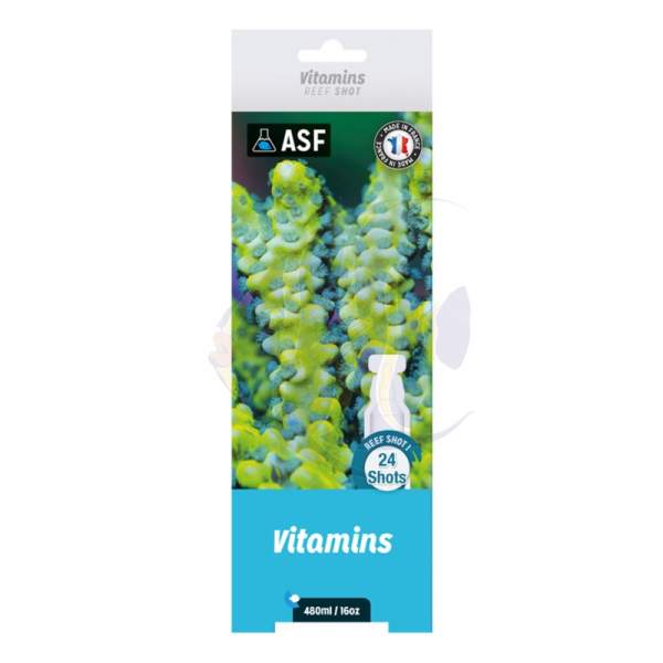 Shots - Vitamins - 24 x 20 ml
